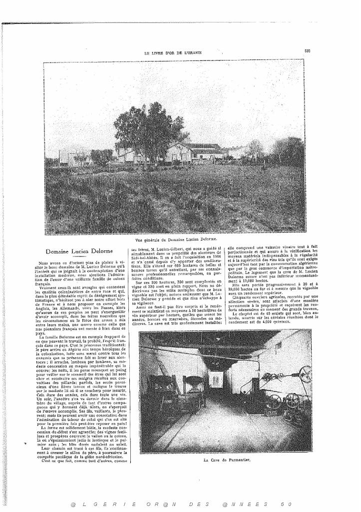LIVRE D OR DE L ORANIE_000076.jpg
